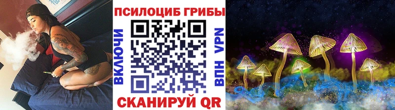 Галлюциногенные грибы Magic Shrooms  сайты даркнета какой сайт  Заводоуковск 